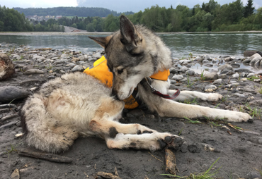 Float Coat Gr&ouml;sse L